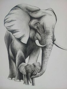 Mom And Baby Elephant Drawing at PaintingValley.com | Explore ...