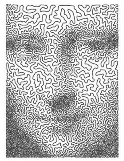 419x543 Mona Lisa As A Continuous Line Drawing - Mona Lisa Line Drawing