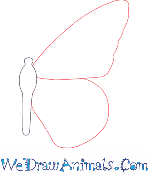 300x350 how to draw a monarch butterfly - Monarch Butterfly Drawing