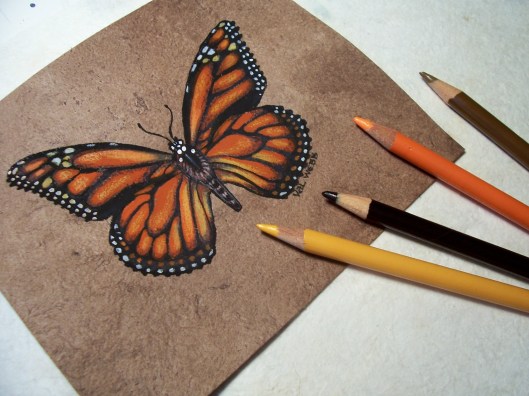 529x396 draw paint monarch butterflies - Monarch Butterfly Drawing