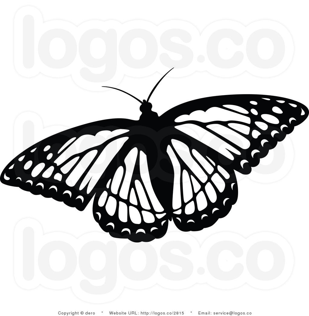 1024x1044 monarch butterfly pictures black and white compilation black - Monarch Butterfly Drawing Black And White