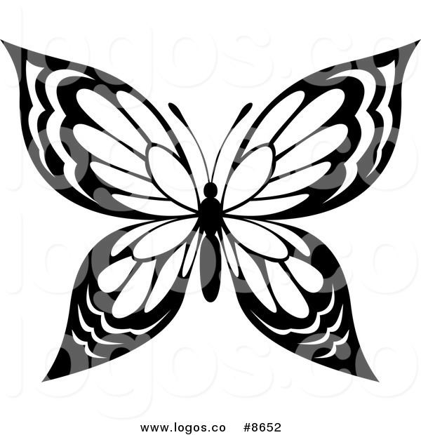 Monarch Butterfly Drawing Black And White At PaintingValley.com ...