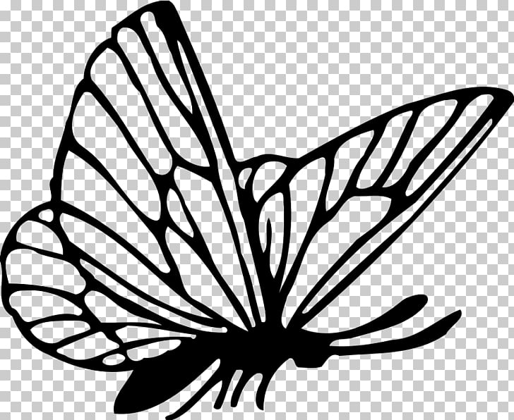 728x596 monarch butterfly color drawing butterfly png clipart free - Monarch Butterfly Drawing Black And White