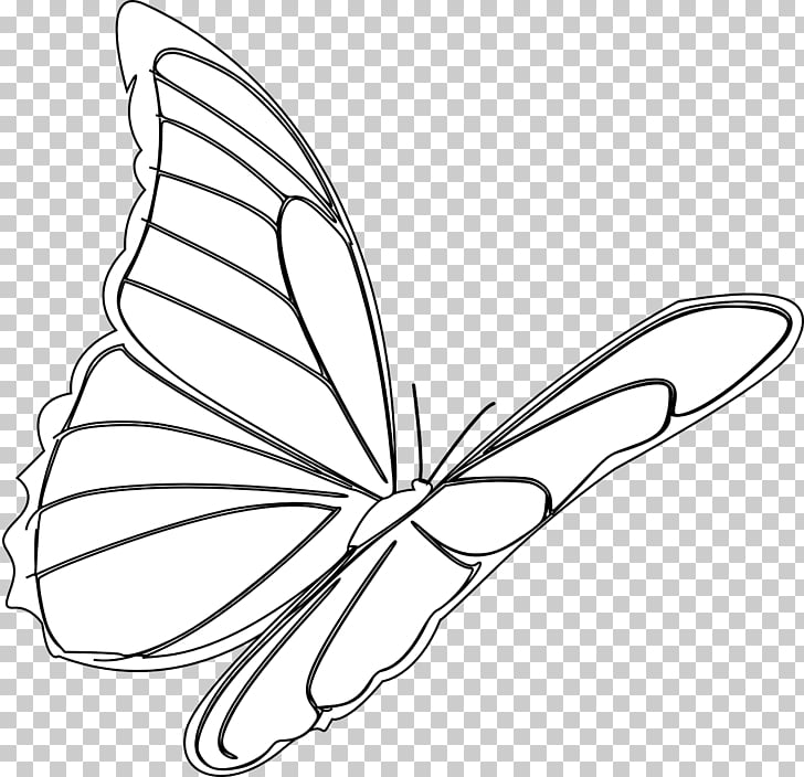 728x704 monarch butterfly drawing insect red butterfly png clipart - Monarch Butterfly Drawing Black And White