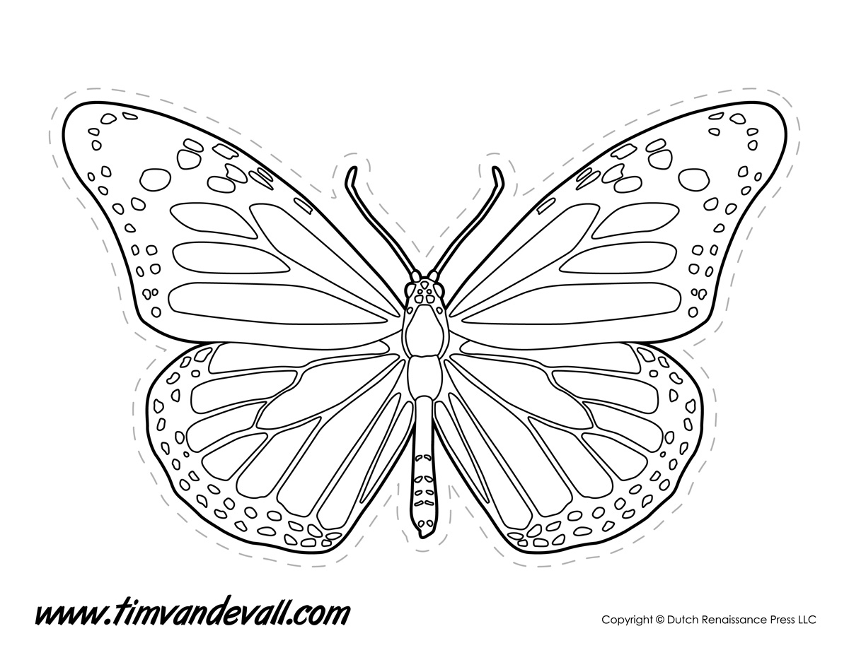 Monarch Butterfly Drawing Black And White at PaintingValley.com