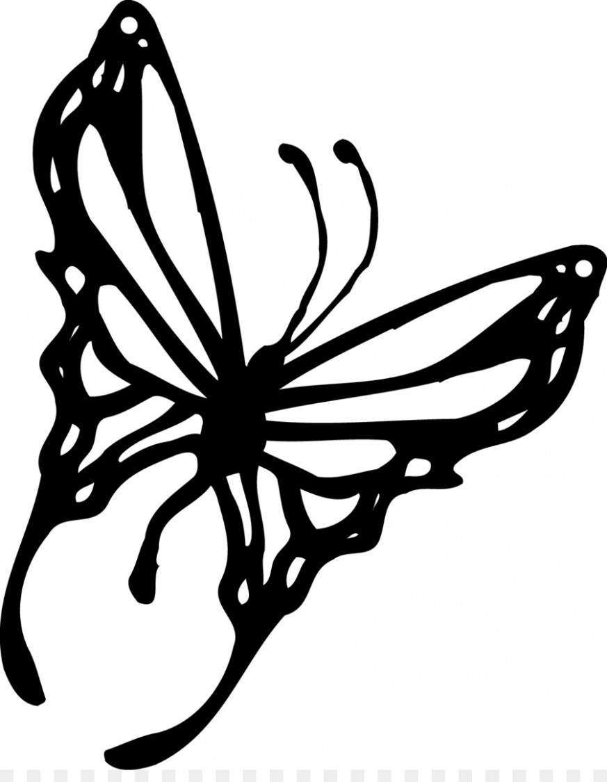 Monarch Butterfly Drawing Black And White at PaintingValley.com ...