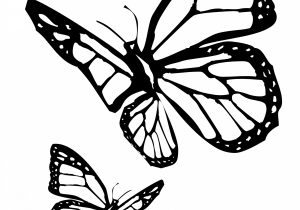 300x210 Butterfly Drawings Black And White Beautiful Drawings - Monarch Butterfly Drawing Black And White