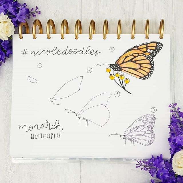 640x640 Let's Doodle Some Butterflies! Here's How I Draw A Side View - Monarch Butterfly Drawing Side