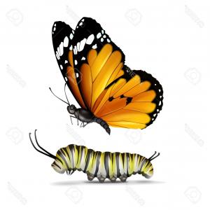 300x300 Photostock Vector A Butterfly Side View With The Spots - Monarch Butterfly Drawing Side
