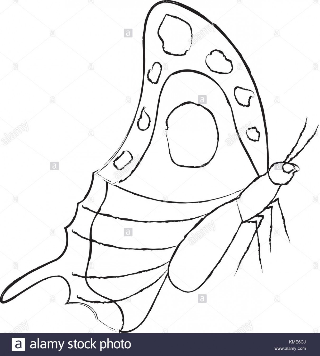 1213x1348 side view of beautiful monarch butterfly stock vector art cotton - Monarch Butterfly Drawing Side