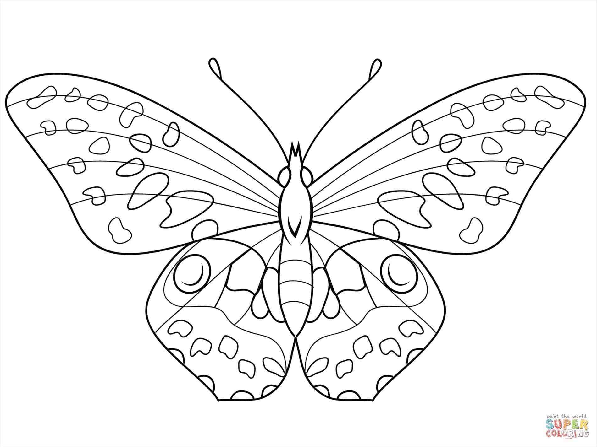 1899x1424 Coloring - Monarch Butterfly Line Drawing