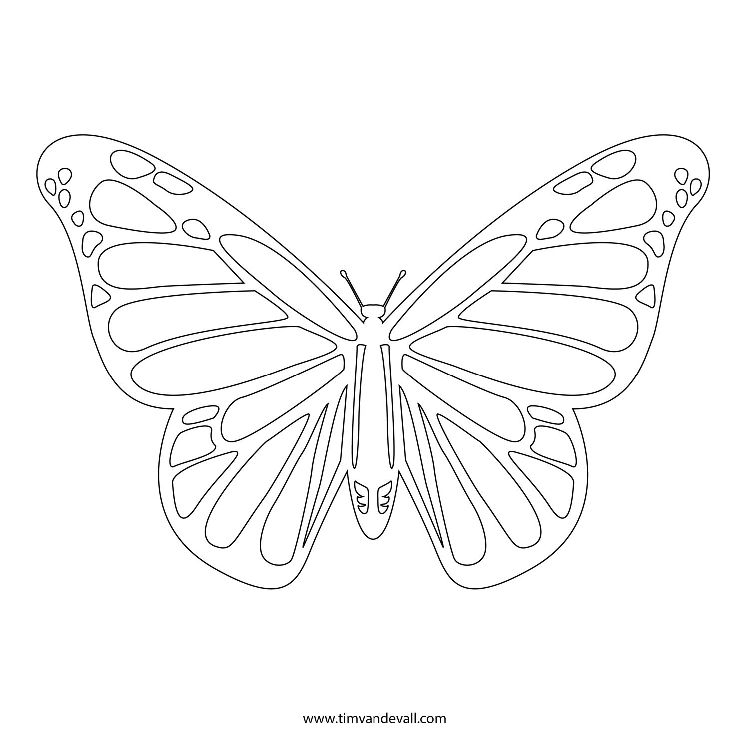 1500x1500 for monarch butterfly coloring - Monarch Butterfly Line Drawing