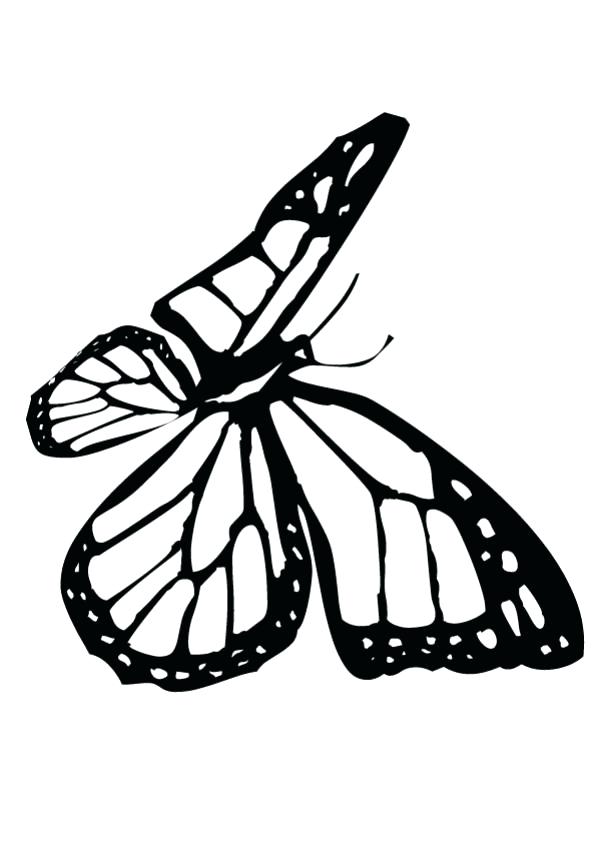 601x850 monarch butterfly clipart free printable - Monarch Butterfly Line Drawing