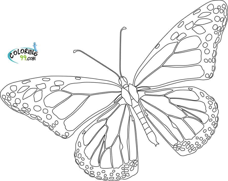 900x714 monarch butterfly clipart line - Monarch Butterfly Line Drawing