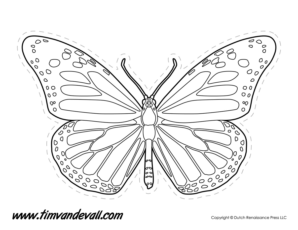 1200x927 Line Drawing Butterfly For Free Download - Monarch Butterfly Line Drawing