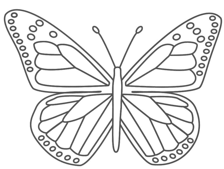 950x719 monarch butterfly printable template - Monarch Butterfly Line Drawing