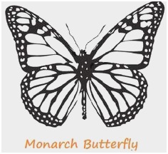 236x216 Monarch Butterfly Coloring - Monarch Butterfly Line Drawing