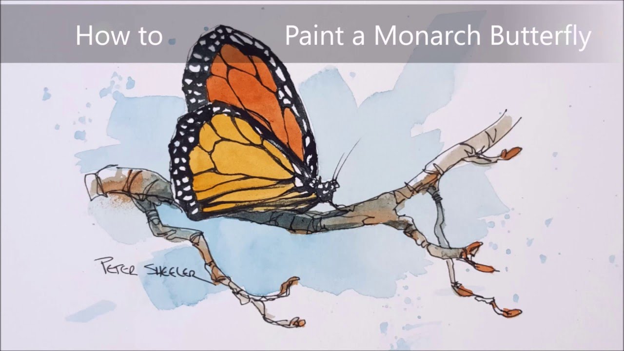 1280x720 a line and wash watercolour of a monarch butterfly simple, fun - Monarch Butterfly Line Drawing