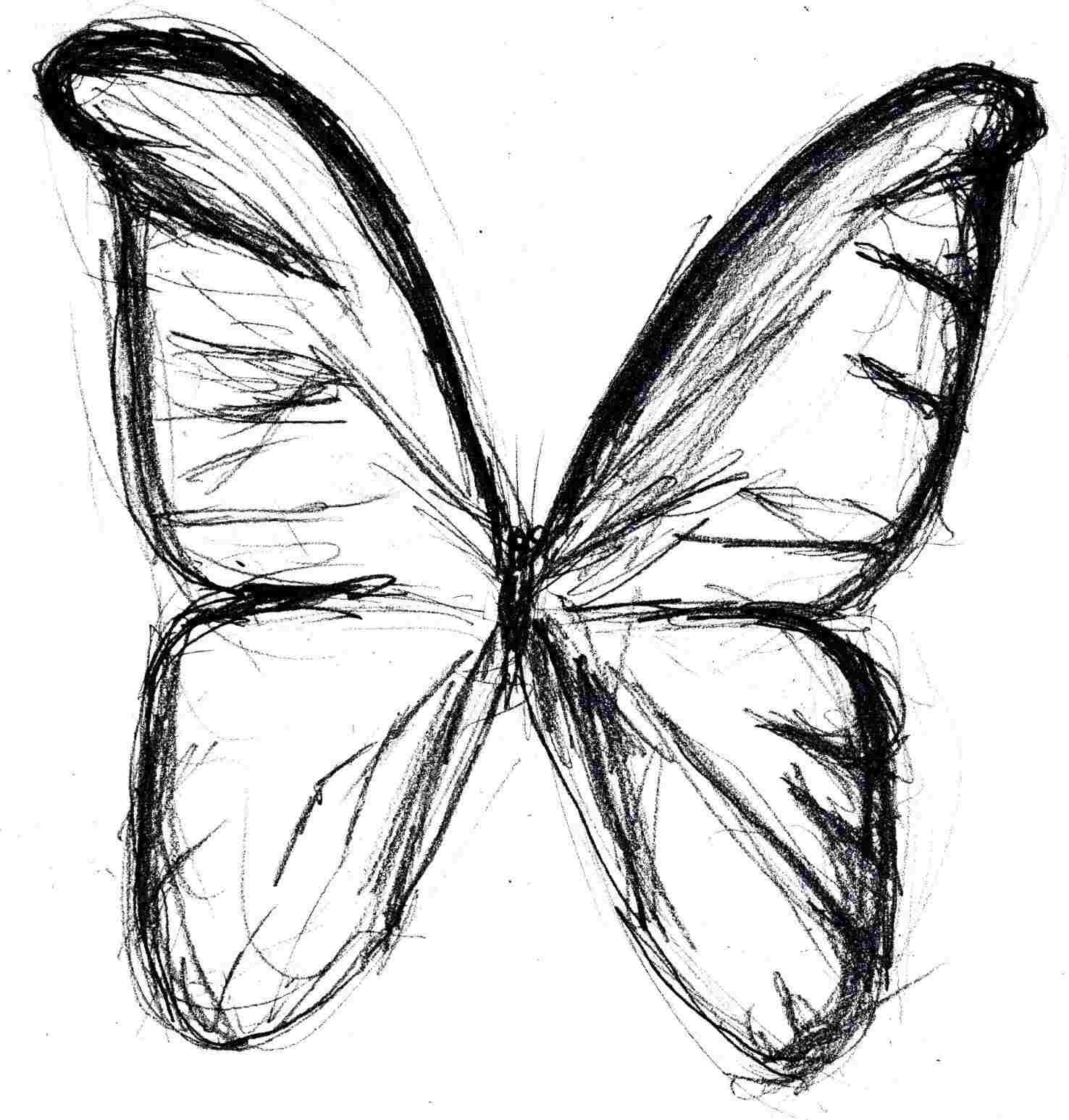 1476x1546 Pencil Drawing Of Butterfly - Monarch Butterfly Line Drawing
