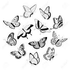 225x225 Monarch Butterfly Line Drawing - Monarch Butterfly Line Drawing