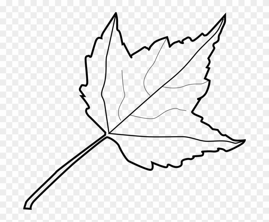 880x727 medium size of how to draw a monarch caterpillar - Monarch Caterpillar Drawing