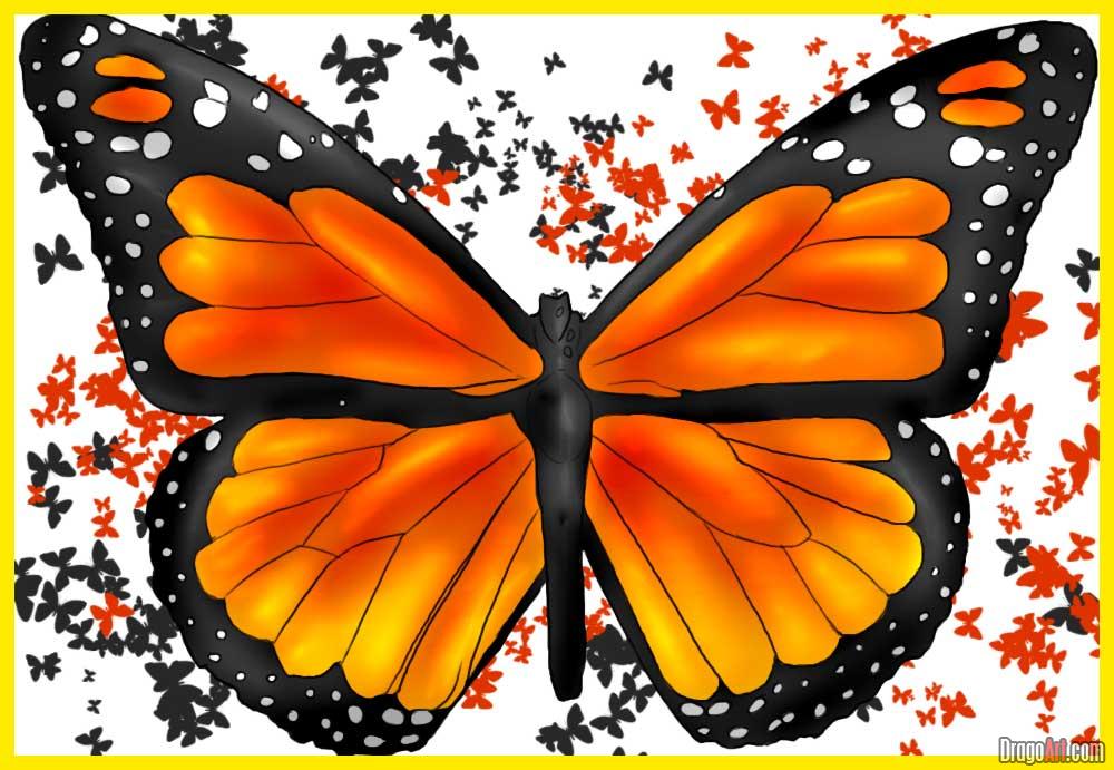 1000x691 How To Draw A Butterfly, Step - Monarch Drawing