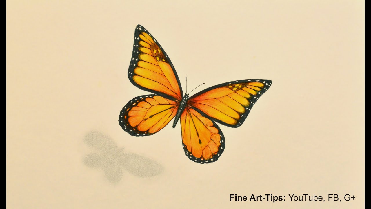 1280x720 how to draw a monarch butterfly with markers and color pencils - Monarch Drawing