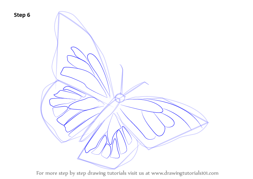 843x596 Learn How To Draw A Monarch Butterfly - Monarch Drawing