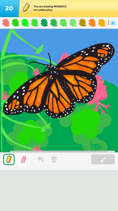 500x889 Monarch Drawings - Monarch Drawing