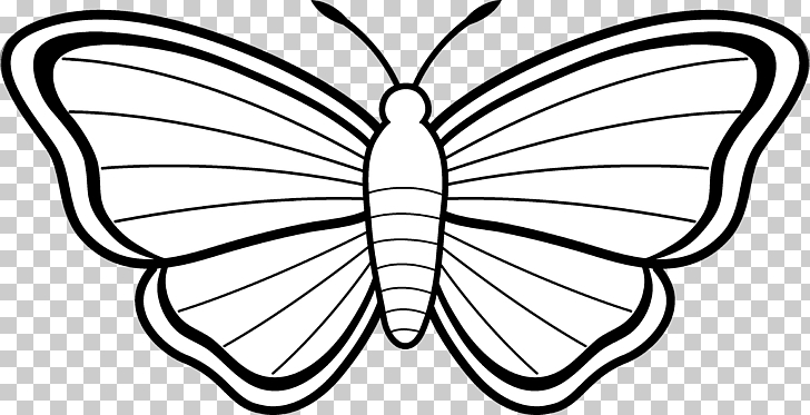 728x373 Monarch Butterfly Coloring Book Drawing Butterfly Png Clipart - Monarch Drawing