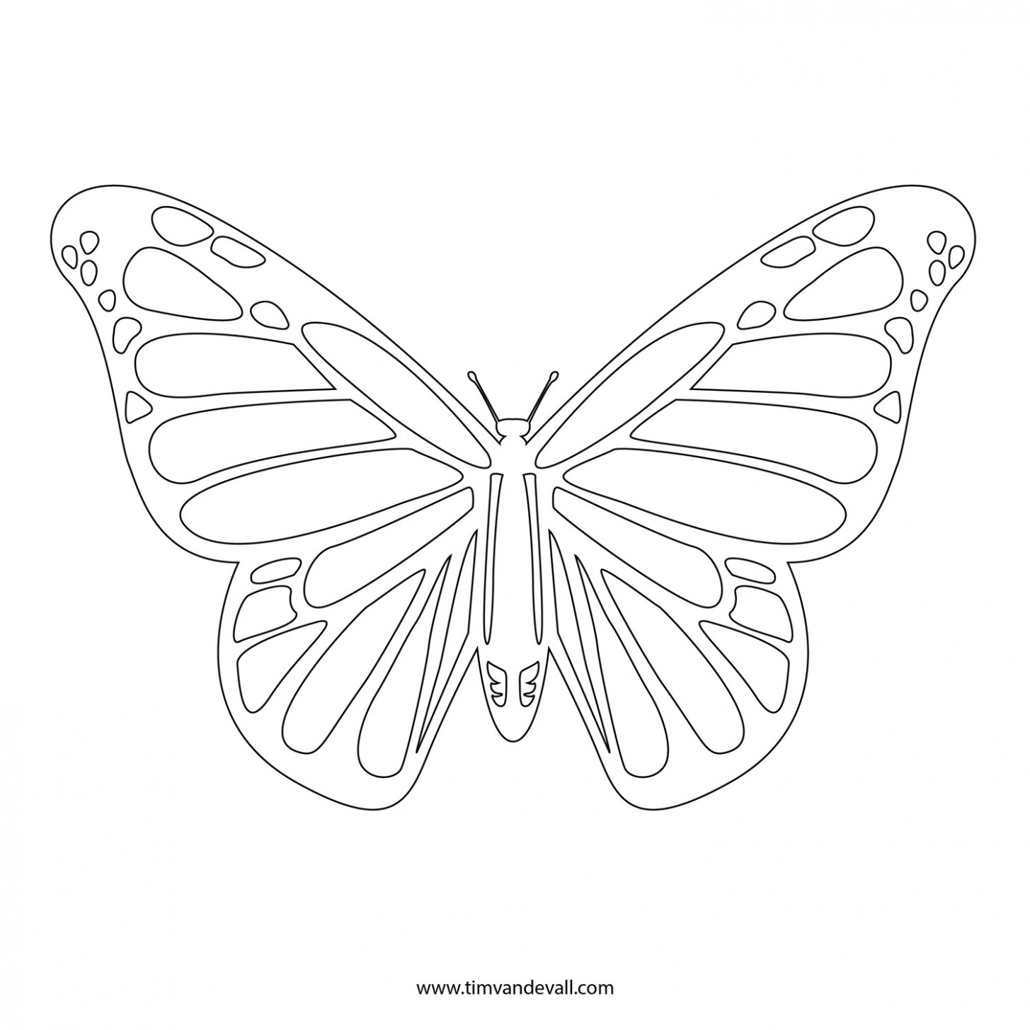 1455x1455 Monarch Drawing - Monarch Drawing