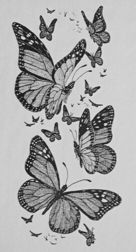 271x500 Drawing Monarch Butterflies - Monarch Drawing