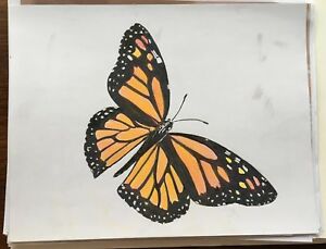 300x229 Hand Drawn Pencil Drawing Sketches Monarch Butterfly Picture - Monarch Drawing