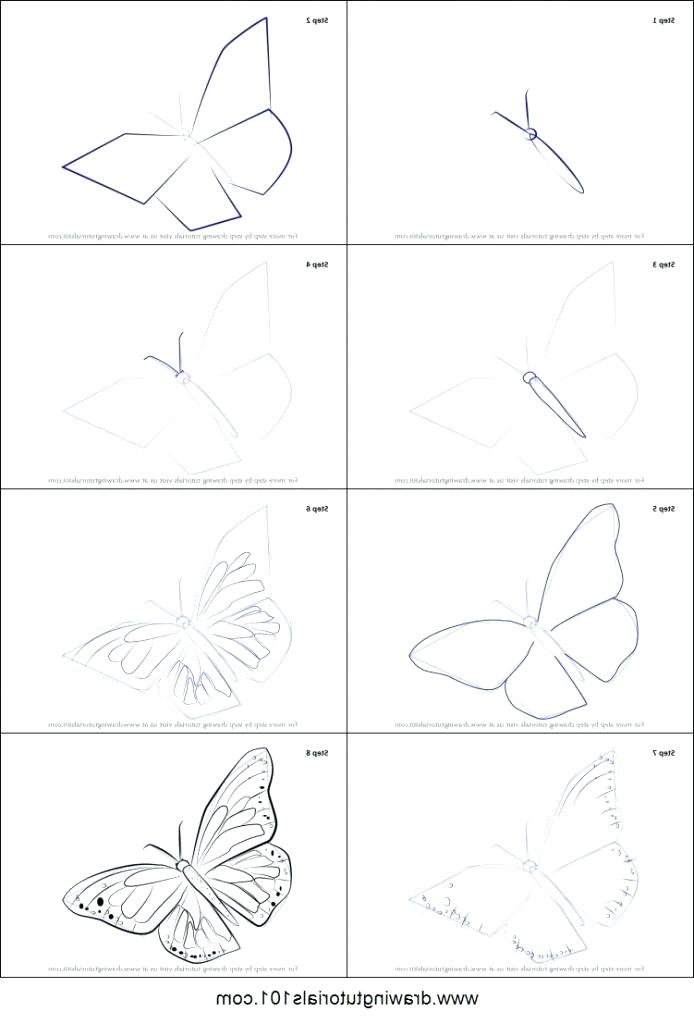 694x1024 How To Draw A Butterfly Step - Monarch Drawing