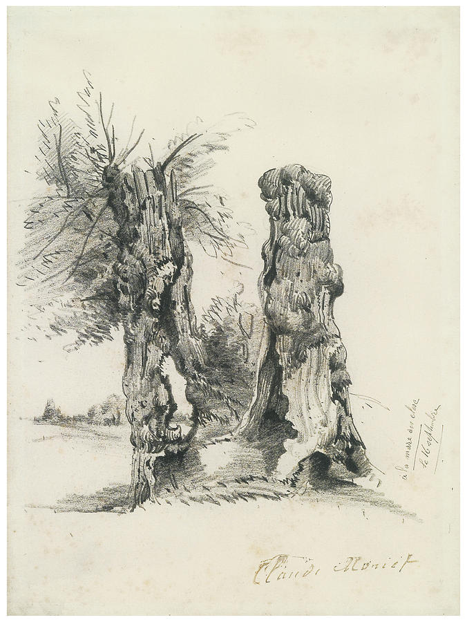 676x900 tree trunks at la mare eu clere drawing - Monet Drawings