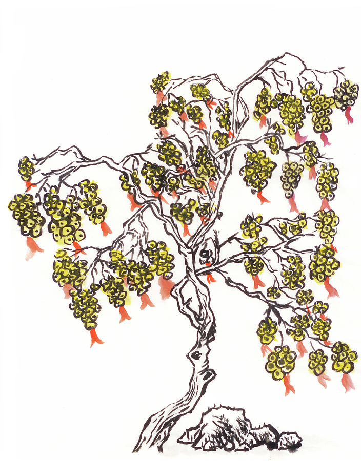 704x900 money tree photograph - Money Tree Drawing