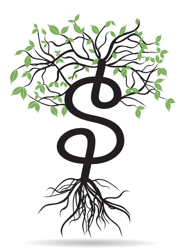 600x800 Sellineo - Money Tree Drawing