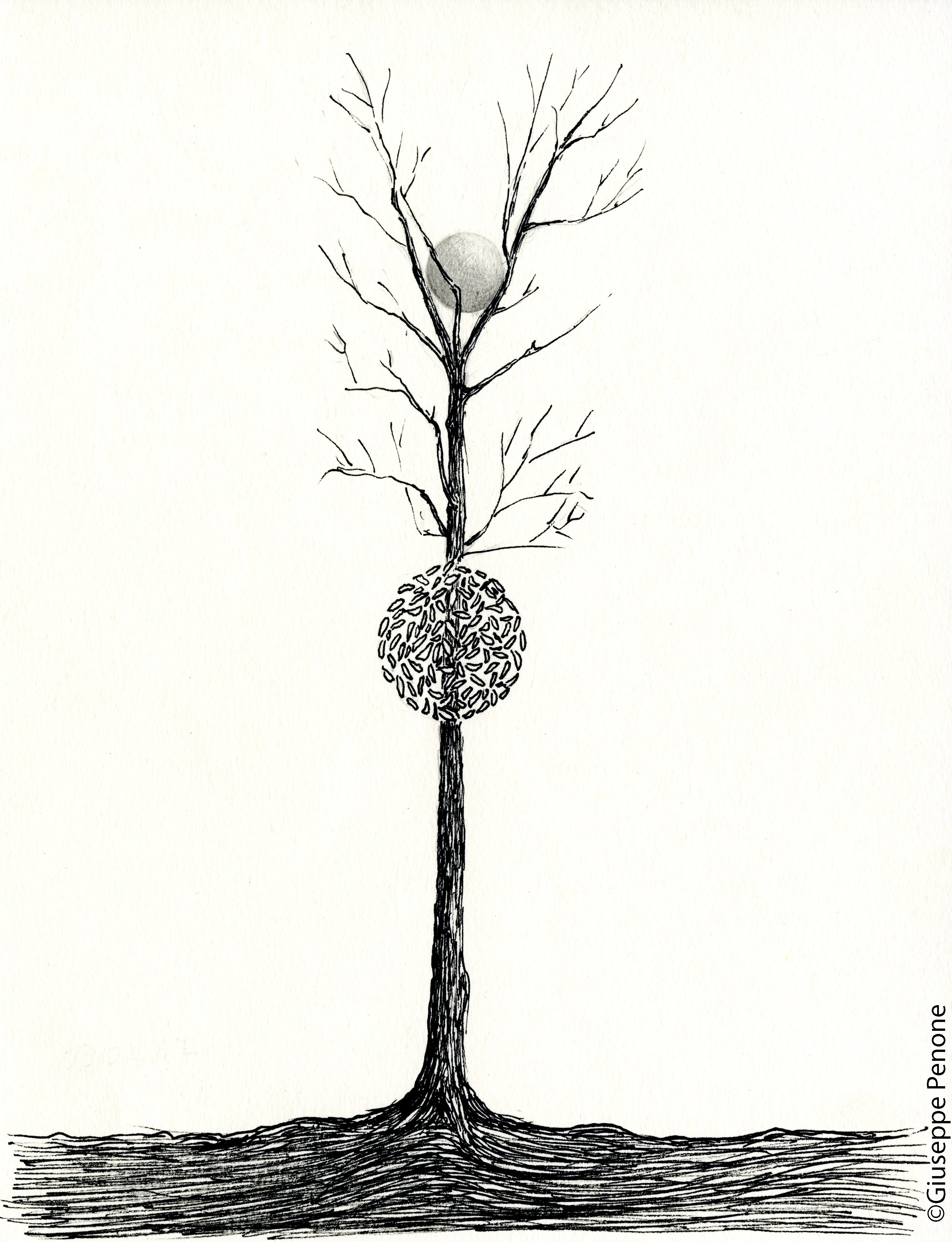 3337x4352 the ecb just installed a money tree outside its hq fortune - Money Tree Drawing