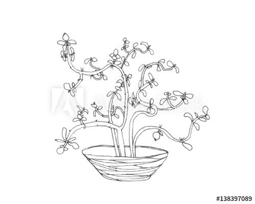 500x400 Cactus Money Tree In Pen Drawing - Money Tree Drawing