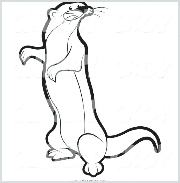 615x627 Coloring Pages Rainforest Animals Coloring Pages Mongoose - Mongoose Drawing