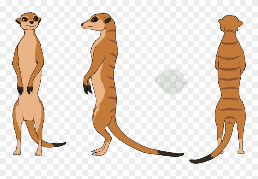 880x611 Meerkat Clipart Clip Art - Mongoose Drawing