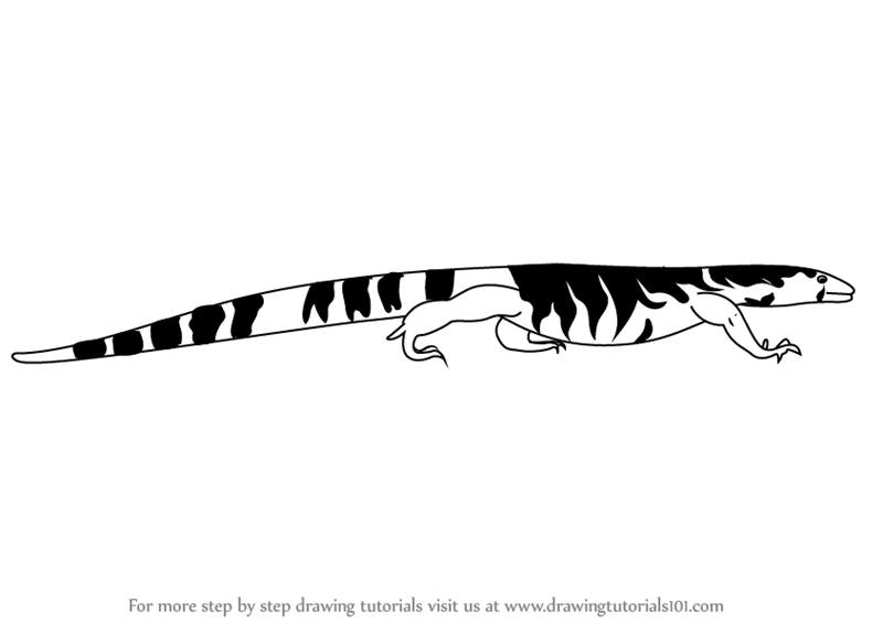800x566 learn how to draw a nile monitor - Monitor Drawing