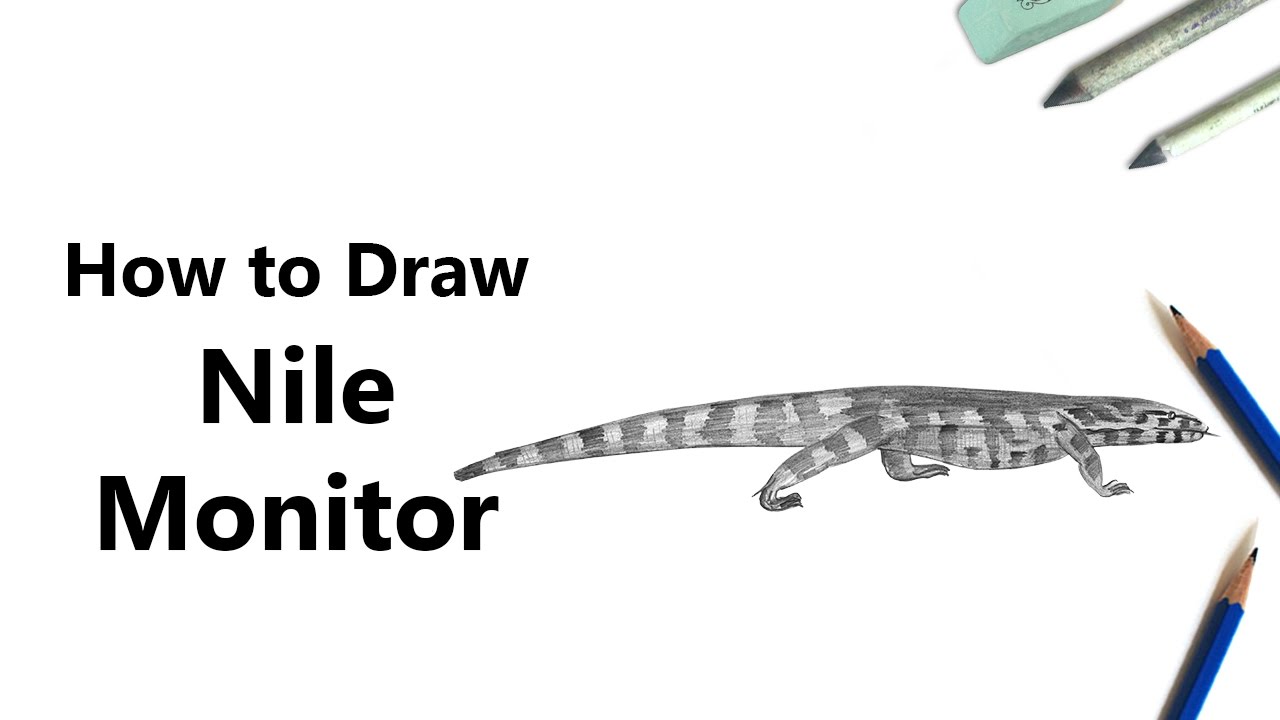 1280x720 how to draw a nile monitor with pencils - Monitor Lizard Drawing