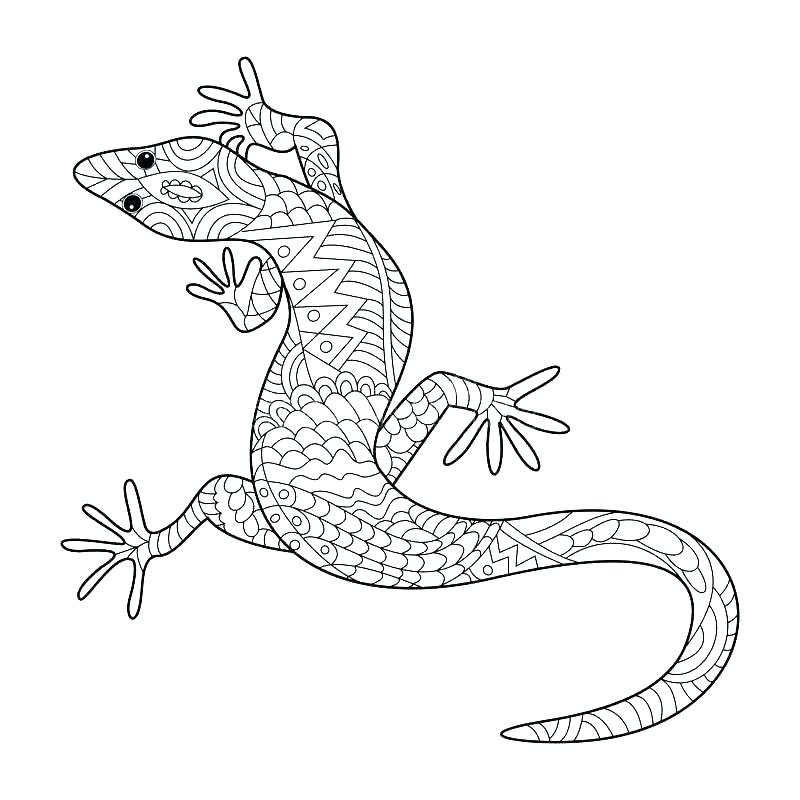 800x800 lizard coloring pages lizard coloring pages drawing color sheet - Monitor Lizard Drawing