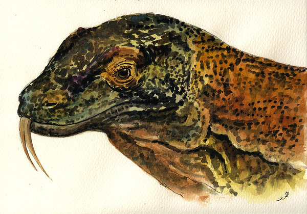 600x420 monitor lizard art fine art america - Monitor Lizard Drawing