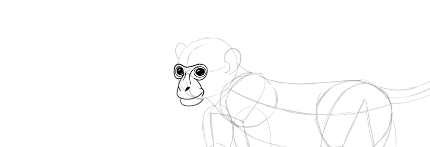850x291 How To Draw A Monkey Step - Monkey Drawing