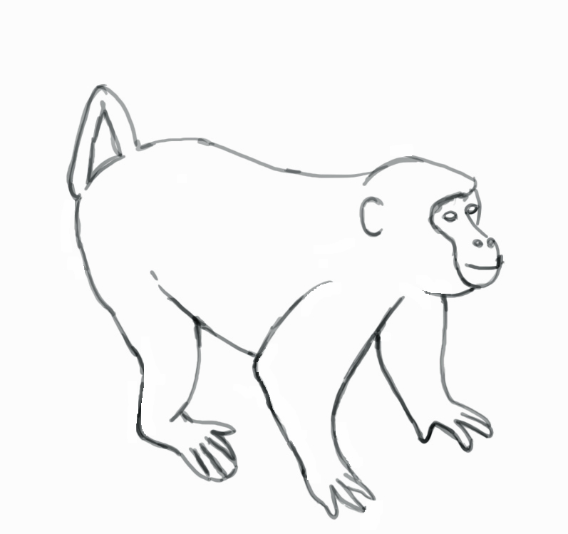 797x749 Huge Collection Of 'monkey Drawing Easy' Download More Than - Monkey Drawing Easy
