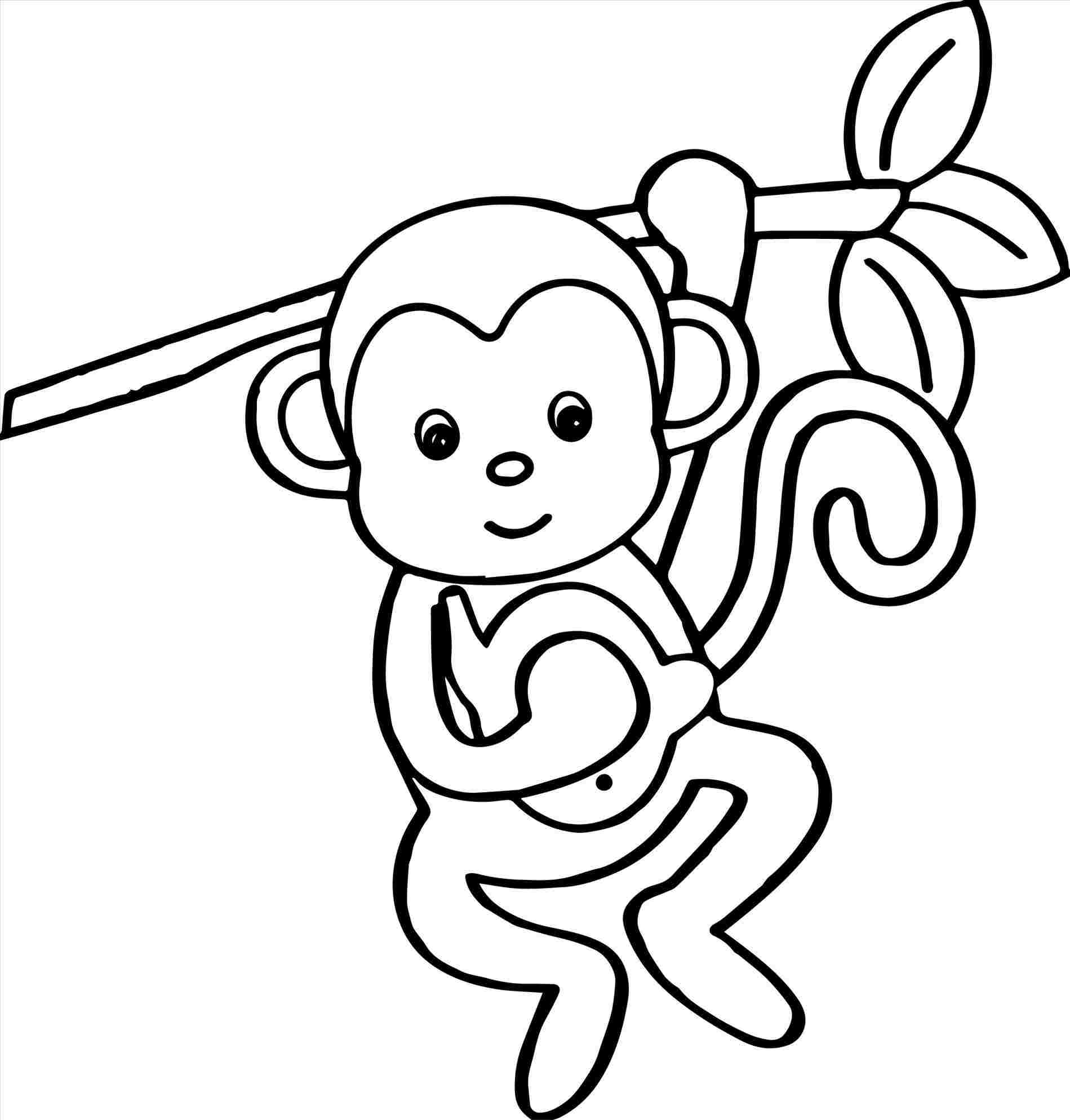 1899x1988 Easy Monkey Drawing - Monkey Drawing Easy