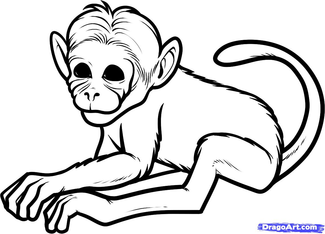 1141x822 Monkey Drawing For Kids And Free Monkey Drawing, Download Free - Monkey Drawing For Kids