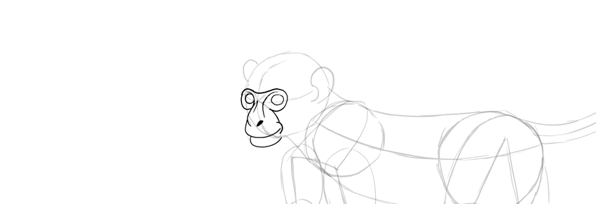 850x291 How To Draw A Monkey Step - Monkey Drawing Images